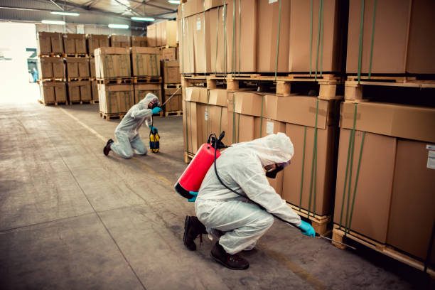 Best Pest Control Near Me in Weslaco, TX
