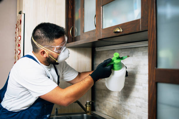 Best Pest Inspection Near Me  in Weslaco, TX