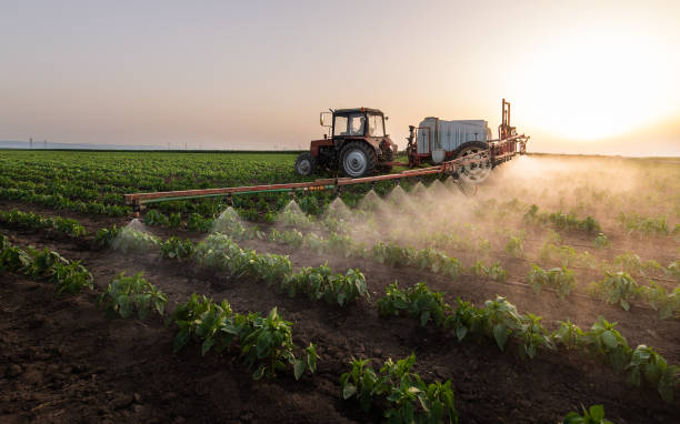 Best Mosquito Control Services  in Weslaco, TX