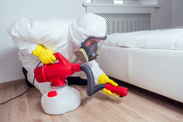 Pest Prevention Services in Weslaco, TX