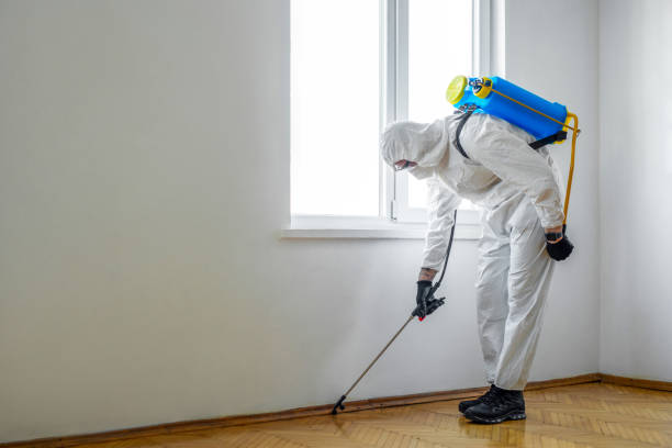 Pest Control for Restaurants in Weslaco, TX