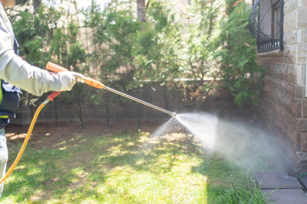 Best Affordable Pest Control Services  in Weslaco, TX