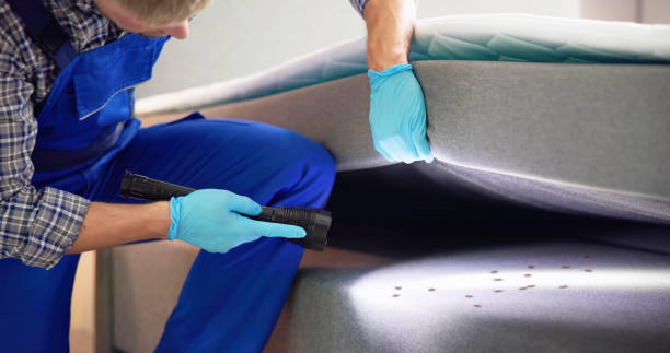 Best Cockroach Control Services  in Weslaco, TX