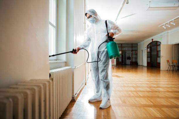 Reliable Weslaco, TX Pest Control Solutions