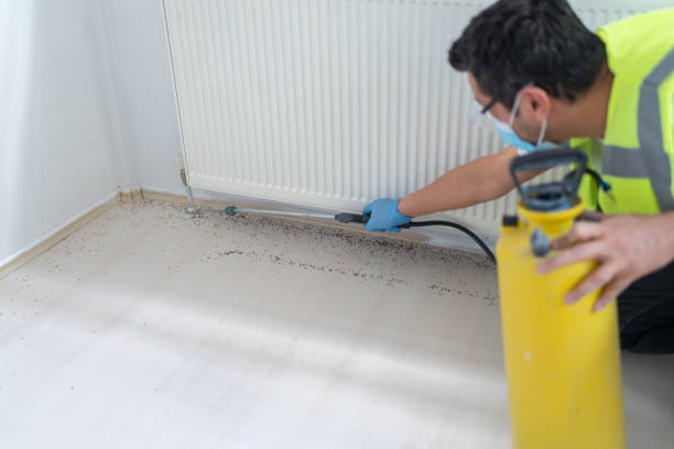 Best Pest Control Near Me  in Weslaco, TX