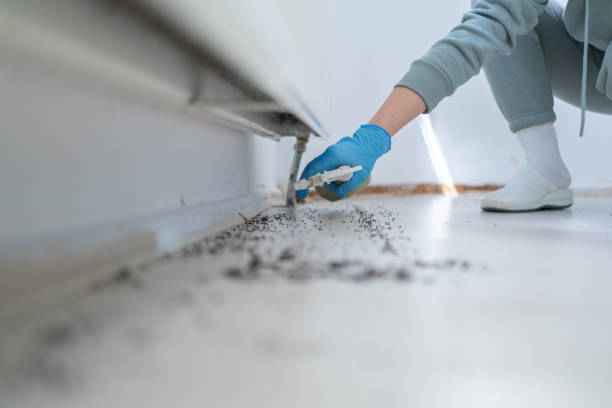 Best Pest Removal Services  in Weslaco, TX